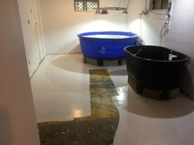 Pond Room.jpg
