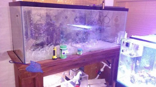 2015-08-25 19.04.15_downsized.jpg