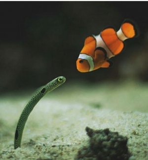 2015-10-14 16.49.00.jpg