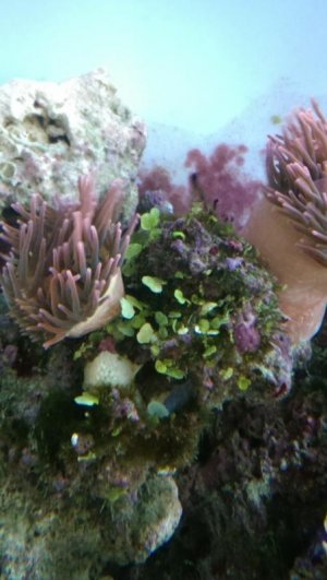 IMAG0628.jpg