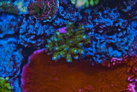 leasing acro.jpg leasing acro.jpg