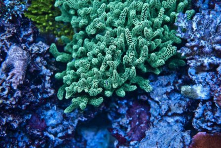 birdnest.jpg birdnest.jpg