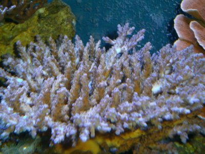 thumb_PICT0161_1024.jpg