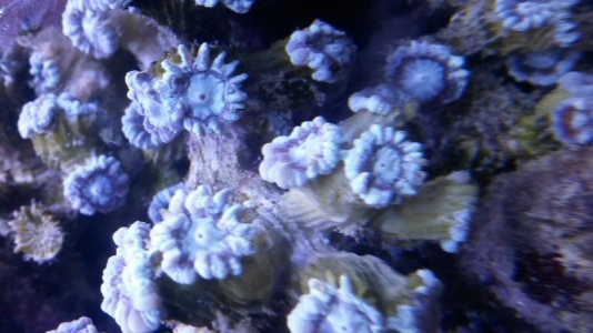 20150915_213822.jpg