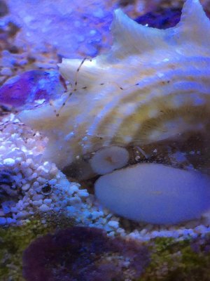 IMG_5110.jpg