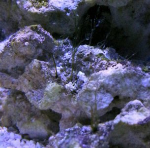 IMG_3420.jpg