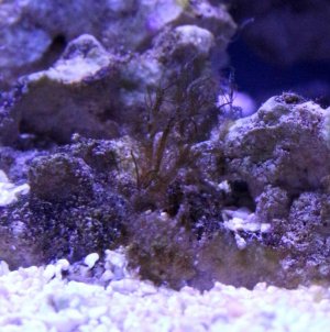 IMG_3421.jpg