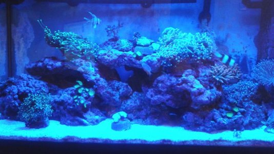 20151018_212244.jpg