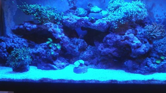 20151018_212319.jpg