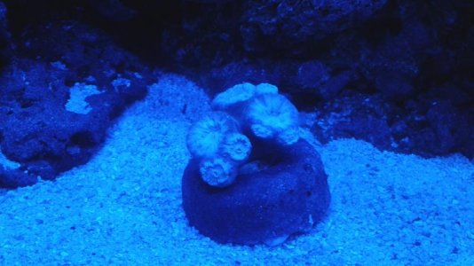 20151018_212405.jpg