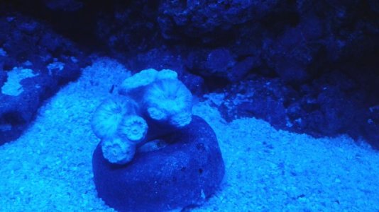 20151018_212420.jpg