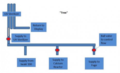 Tree.jpg