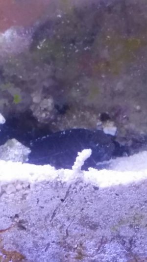 20151018_214553.jpg