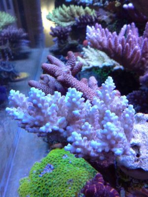 IMG_6569.jpg