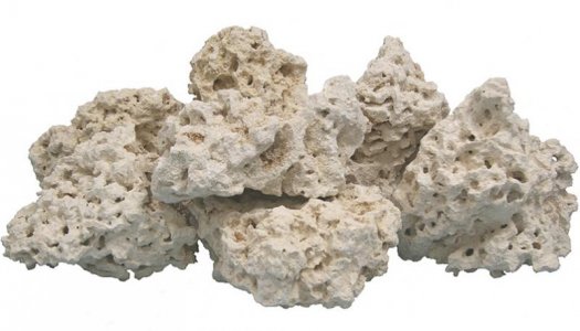 Coral-Base-Rock.jpg