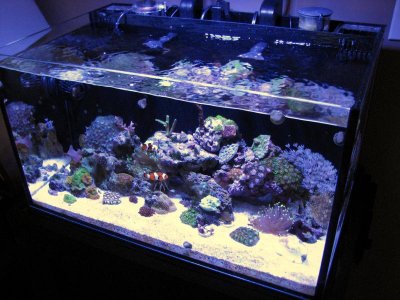 samsung pictures 010.jpg