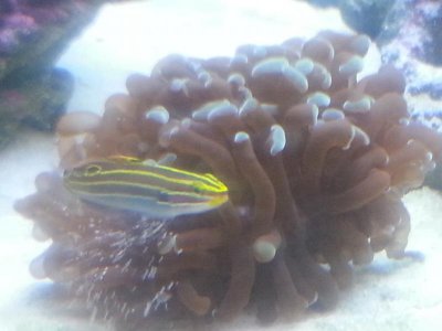 20150903_110224[1].jpg