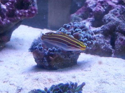 20150918_192606[1].jpg