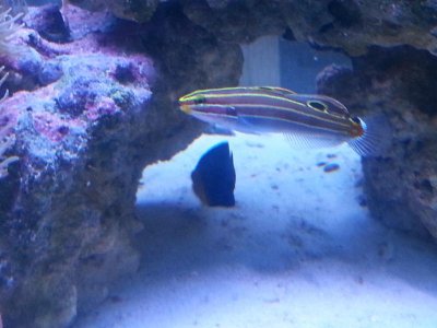 20150918_192550[1].jpg