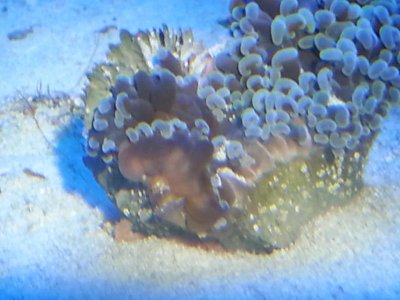 20150919_194408[1].jpg