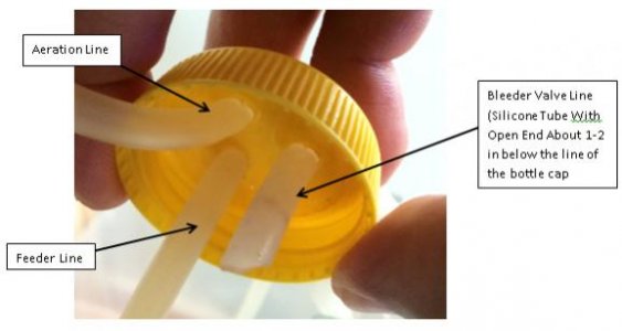 Inside Bottle Cap.jpg
