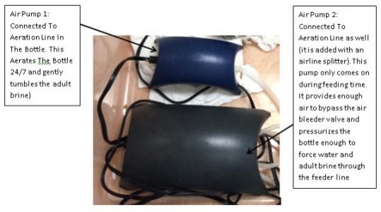 Air Pumps.jpg