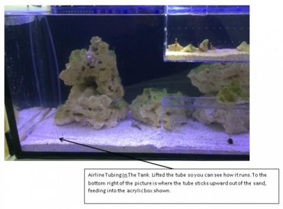 Ailine tubing into tank 3.jpg