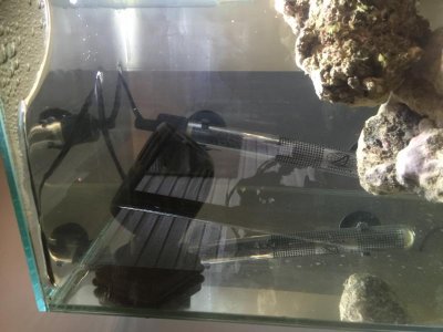 IMG_0215.jpg IMG_0215.jpg