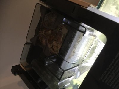 IMG_0216.jpg IMG_0216.jpg