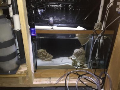 fishroom.jpg