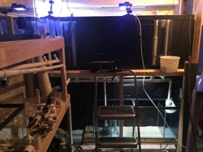 fishroomsetup.jpg