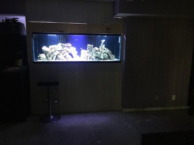 IMG_2382.JPG