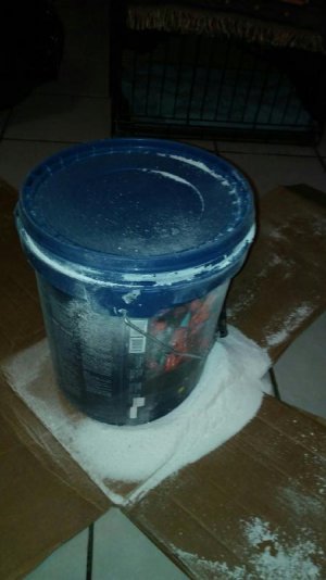 salt box open 2.jpg