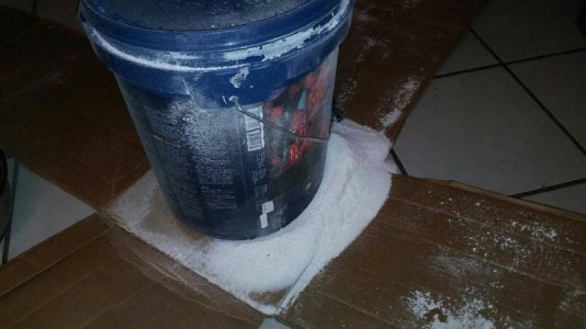 salt box open.jpg