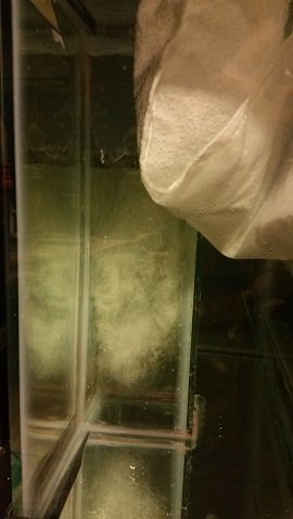 2015-10-24 20.21.47.jpg