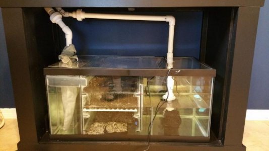 2015-10-25 12.30.00.jpg