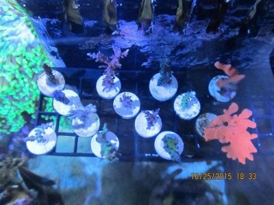 topview.jpg