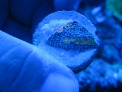 IMG_1494.jpg