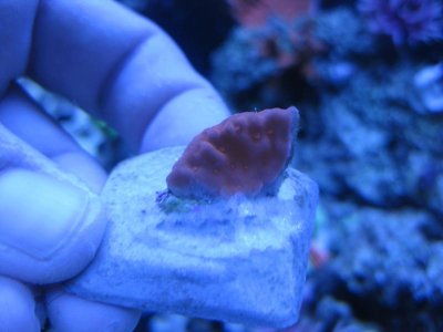 IMG_1495.jpg