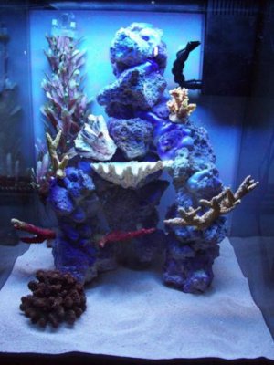 fts21.jpg