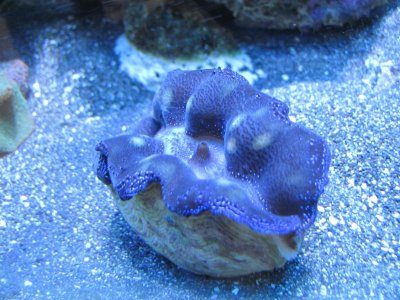 IMG_0299.jpg