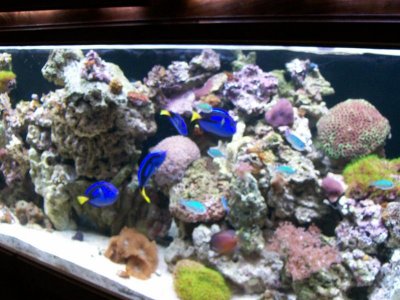 fish pics 092.jpg