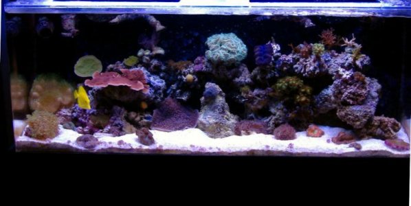 fts 02-26-10.jpg