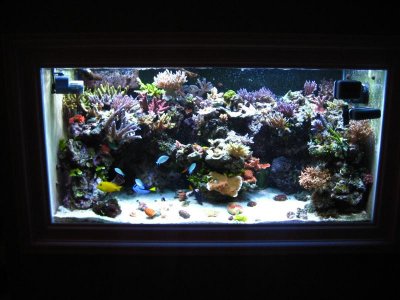 Picture 011.jpg Picture 011.jpg