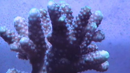 IMGA0372.jpg