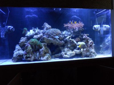 DSCN0105.JPG