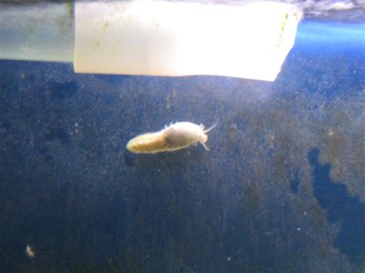 IMG_3978 (Medium).JPG