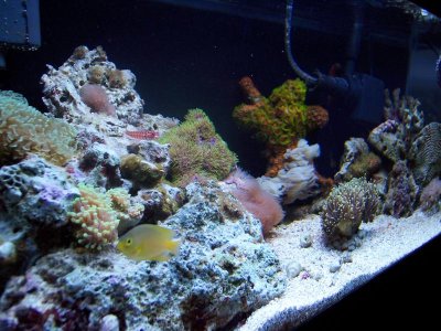 100_1210.jpg