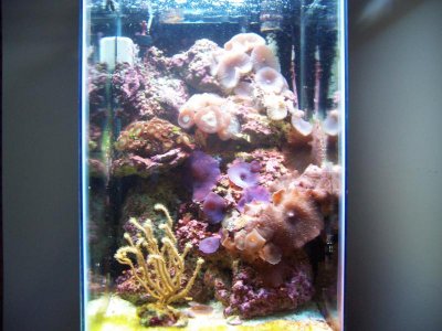 100_1223.jpg