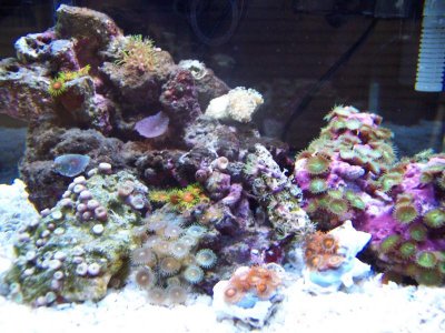 100_1222.jpg